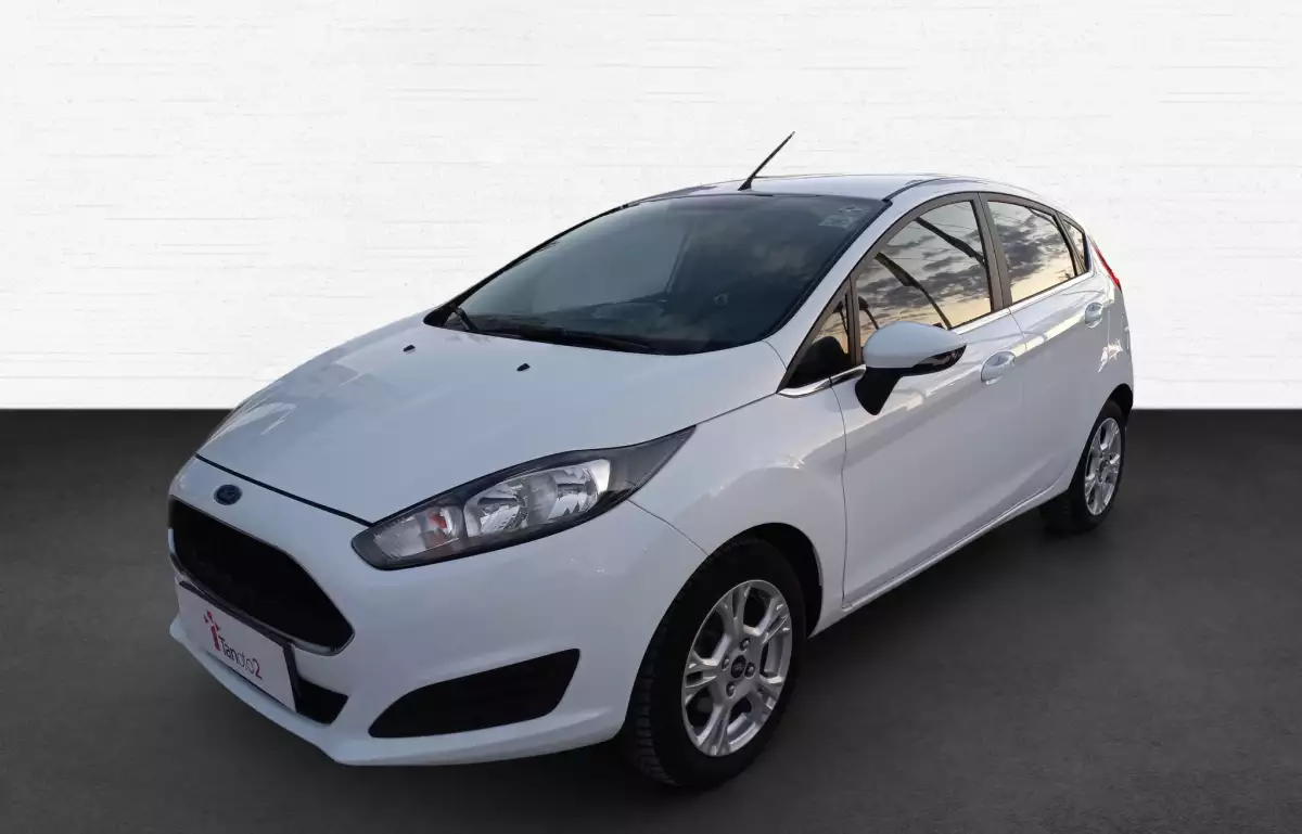 Ford Fiesta 1.25i Trend X 82HP